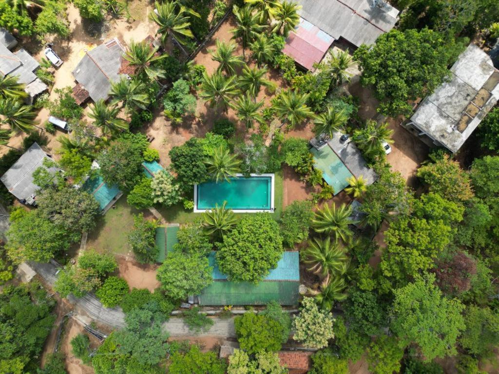 La Dolce Vita Hotel Sigiriya Exterior photo