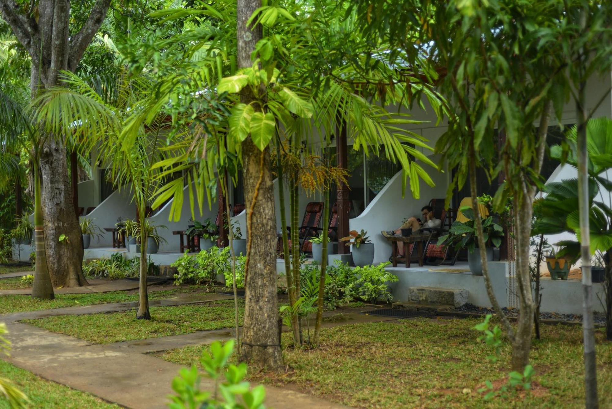 La Dolce Vita Hotel Sigiriya Exterior photo