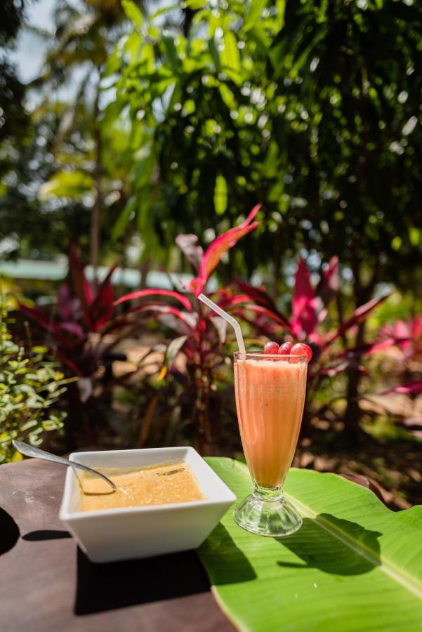 La Dolce Vita Hotel Sigiriya Exterior photo